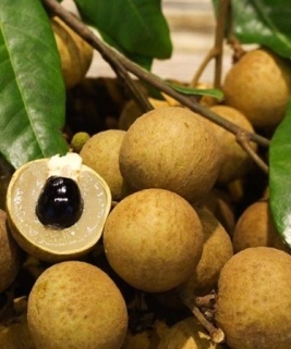 Nhãn