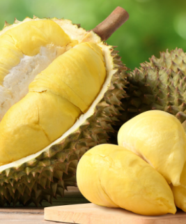 Sầu riêng 