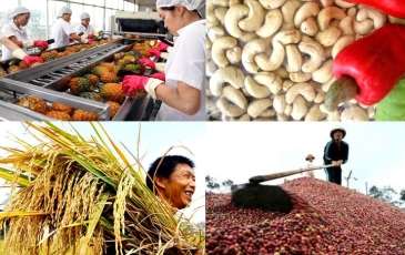 Xuất khẩu nông sản năm 2024: Tiếp tục là điểm sáng