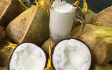  Nhập khẩu dừa chế biến tăng 11,3 lần