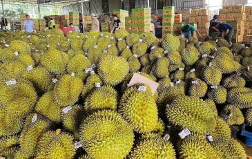 Thương mại Việt Nam – Trung Quốc vượt 31 tỷ USD