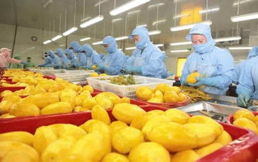 Trung Quốc đã phê duyệt 3.938 mã hàng nông sản, thực phẩm của Việt Nam