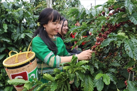 Xuất khẩu cà phê kỳ vọng vượt 8 tỷ USD