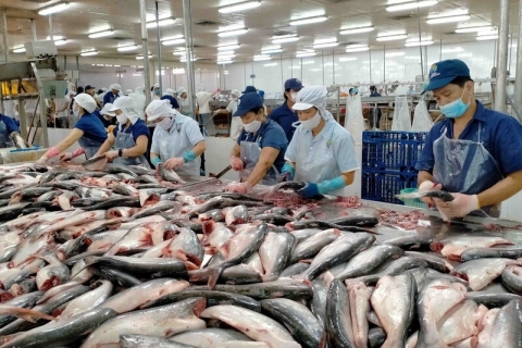Xuất khẩu nông, lâm, thủy sản tăng tốc, hướng tới mốc 74 tỷ USD