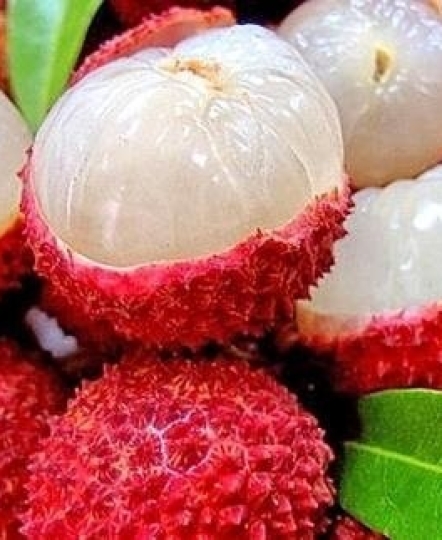 Vải thiều